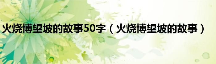 火烧博望坡的故事50字（火烧博望坡的故事）