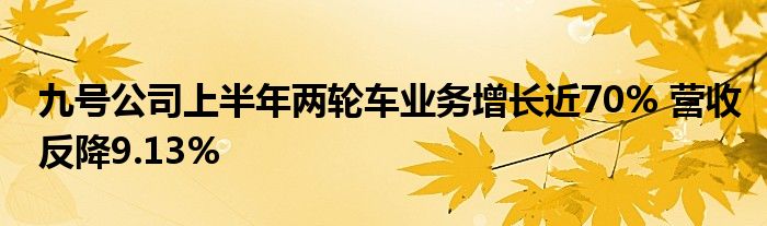 九号公司上半年两轮车业务增长近70% 营收反降9.13%