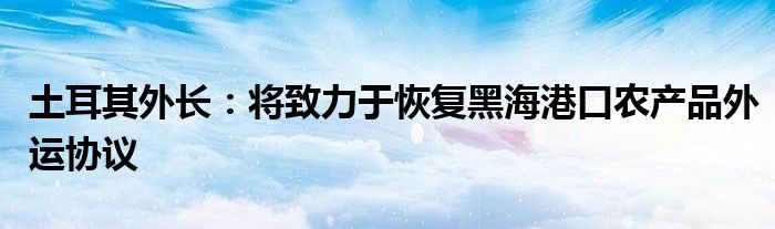 土耳其外长:将致力于恢复黑海港口农产品外运协议