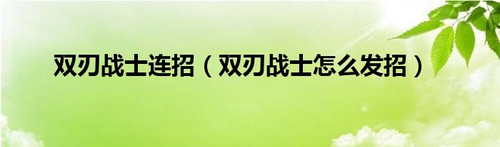 双刃战士连招（双刃战士怎么发招）