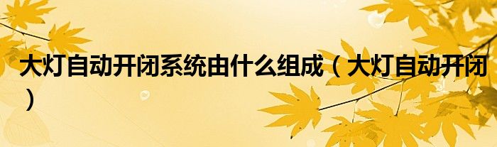 大灯自动开闭系统由什么组成(大灯自动开闭)