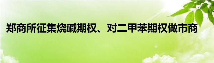 郑商所征集烧碱期权、对二甲苯期权做市商