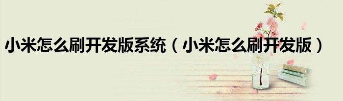 小米怎么刷开发版系统(小米怎么刷开发版)