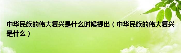 中华民族的伟大复兴是什么时候提出(中华民族的伟大复兴是什么)