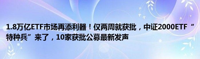 1.8万亿ETF市场再添利器!仅两周就获批,中证2000ETF“特种兵”来了,10家获批公募最新发声