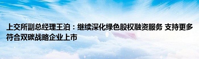 上交所副总经理王泊:继续深化绿色股权融资服务 支持更多符合双碳战略企业上市