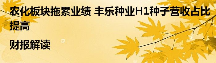 农化板块拖累业绩 丰乐种业H1种子营收占比提高|财报解读