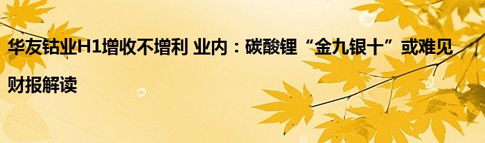 华友钴业H1增收不增利 业内:碳酸锂“金九银十”或难见|财报解读
