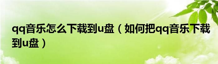 qq音乐怎么下载到u盘(如何把qq音乐下载到u盘)
