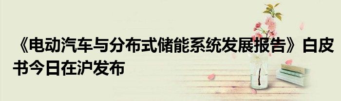 《电动汽车与分布式储能系统发展报告》白皮书今日在沪发布