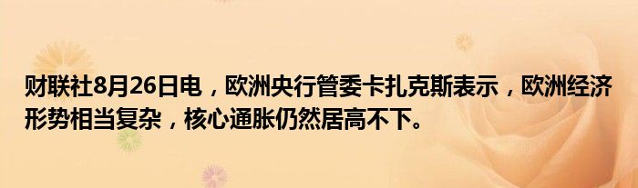 财联社8月26日电,欧洲央行管委卡扎克斯表示,欧洲经济形势相当复杂,核心通胀仍然居高不下。