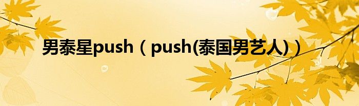男泰星push（push(泰国男艺人)）