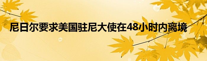 尼日尔要求美国驻尼大使在48小时内离境