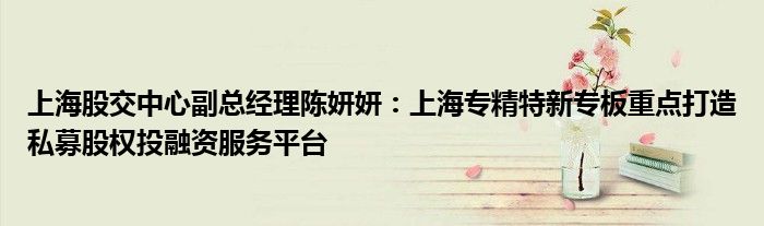 上海股交中心副总经理陈妍妍:上海专精特新专板重点打造私募股权投融资服务平台