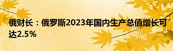 俄财长:俄罗斯2023年国内生产总值增长可达2.5%