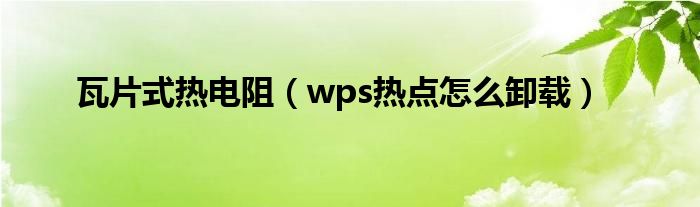 瓦片式热电阻（wps热点怎么卸载）