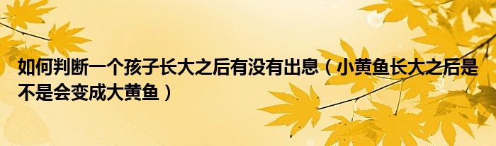 如何判断一个孩子长大之后有没有出息(小黄鱼长大之后是不是会变成大黄鱼)