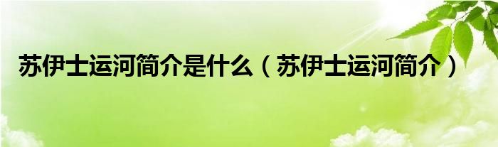 苏伊士运河简介是什么（苏伊士运河简介）