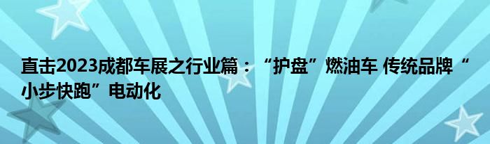 直击2023成都车展之行业篇:“护盘”燃油车 传统品牌“小步快跑”电动化