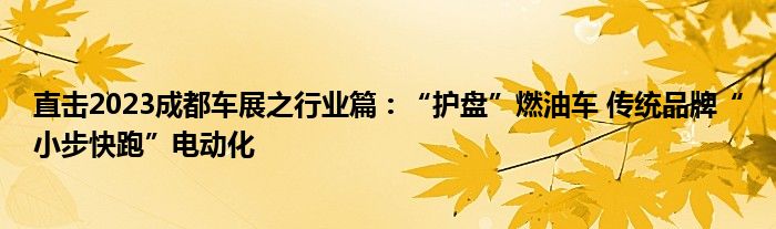 直击2023成都车展之行业篇:“护盘”燃油车 传统品牌“小步快跑”电动化