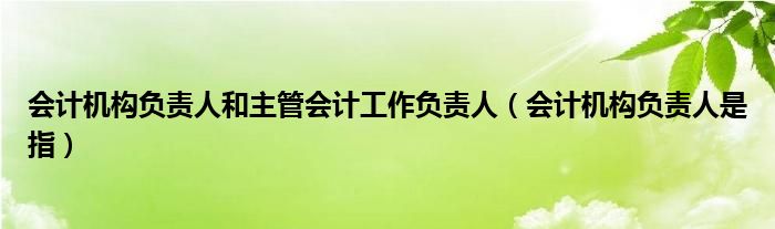 会计机构负责人和主管会计工作负责人(会计机构负责人是指)