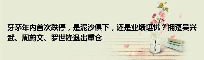 牙茅年内首次跌停,是泥沙俱下,还是业绩堪忧?拥趸吴兴武、周蔚文、罗世锋退出重仓