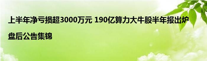 上半年净亏损超3000万元 190亿算力大牛股半年报出炉|盘后公告集锦