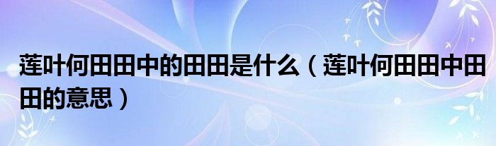 莲叶何田田中的田田是什么（莲叶何田田中田田的意思）