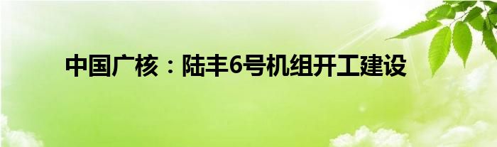 中国广核:陆丰6号机组开工建设