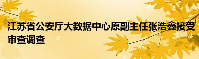 江苏省公安厅大数据中心原副主任张浩鑫接受审查调查