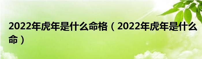 2022年虎年是什么命格(2022年虎年是什么命)