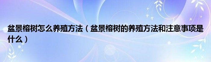 盆景榕树怎么养殖方法(盆景榕树的养殖方法和注意事项是什么)
