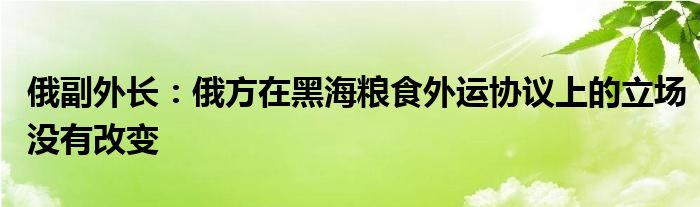 俄副外长:俄方在黑海粮食外运协议上的立场没有改变