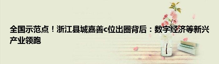 全国示范点!浙江县城嘉善c位出圈背后:数字经济等新兴产业领跑