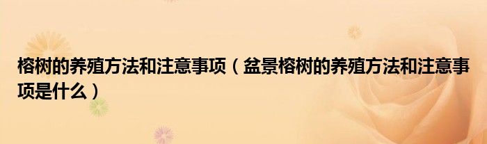 榕树的养殖方法和注意事项(盆景榕树的养殖方法和注意事项是什么)