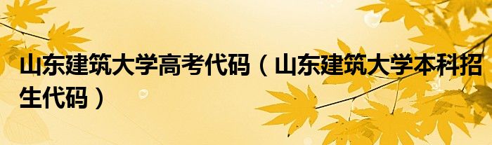 山东建筑大学高考代码(山东建筑大学本科招生代码)