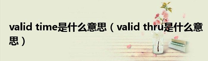 valid time是什么意思(valid thru是什么意思)