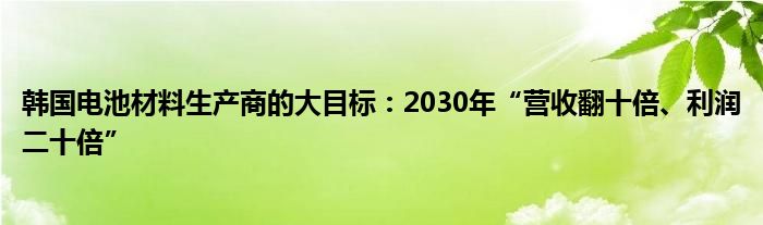韩国电池材料生产商的大目标:2030年“营收翻十倍、利润二十倍”