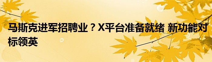 马斯克进军招聘业?X平台准备就绪 新功能对标领英