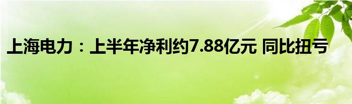 上海电力:上半年净利约7.88亿元 同比扭亏