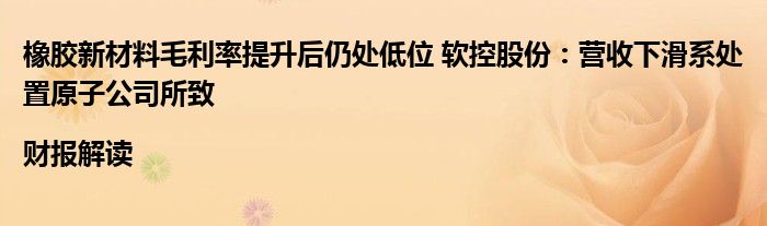 橡胶新材料毛利率提升后仍处低位 软控股份:营收下滑系处置原子公司所致|财报解读