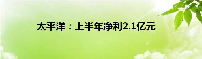 太平洋:上半年净利2.1亿元