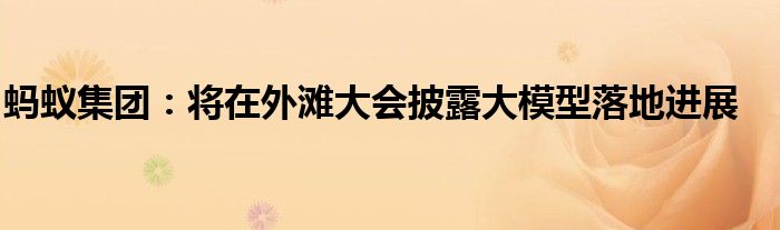 蚂蚁集团:将在外滩大会披露大模型落地进展