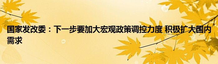 国家发改委:下一步要加大宏观政策调控力度 积极扩大国内需求