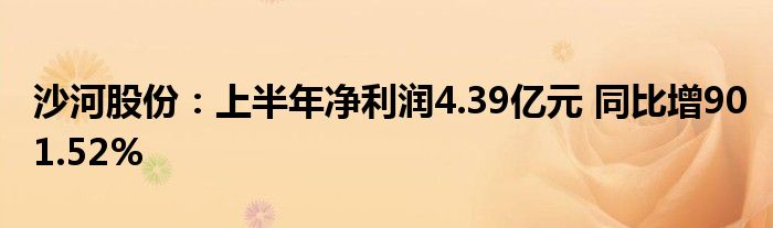 沙河股份:上半年净利润4.39亿元 同比增901.52%