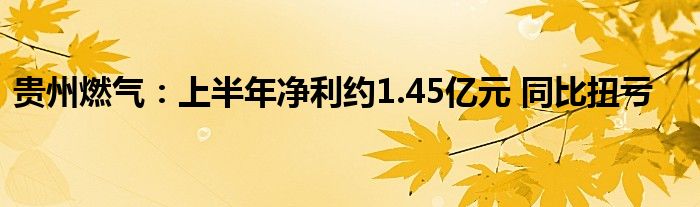 贵州燃气:上半年净利约1.45亿元 同比扭亏