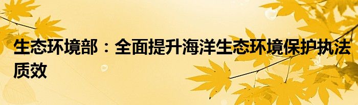 生态环境部:全面提升海洋生态环境保护执法质效