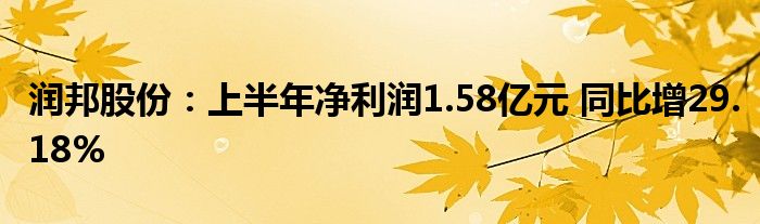 润邦股份:上半年净利润1.58亿元 同比增29.18%