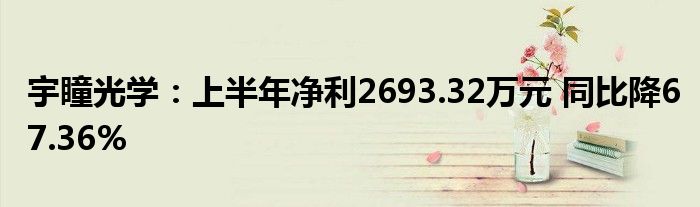 宇瞳光学:上半年净利2693.32万元 同比降67.36%