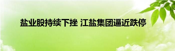 盐业股持续下挫 江盐集团逼近跌停